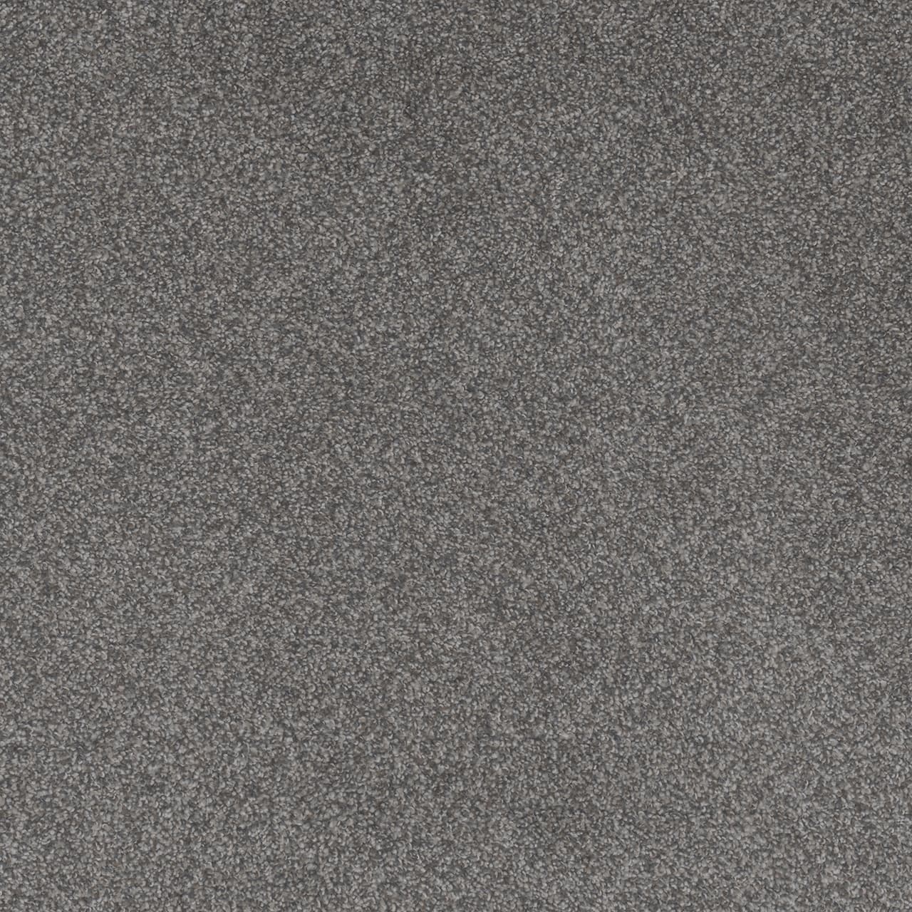 Beach Club III Forget Me Not