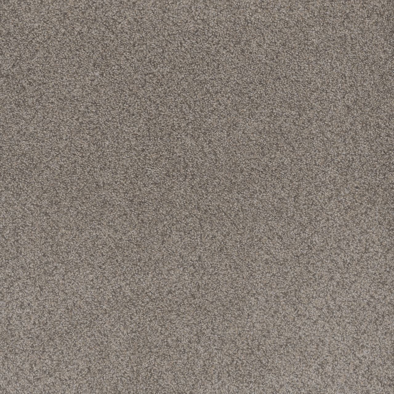 Beach Club III Canyon Beach Club III Carpet flooring