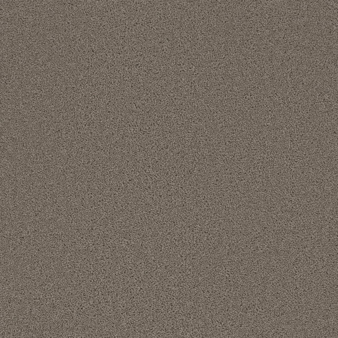 Broadcast Plus Castle Broadcast Plus Carpet flooring