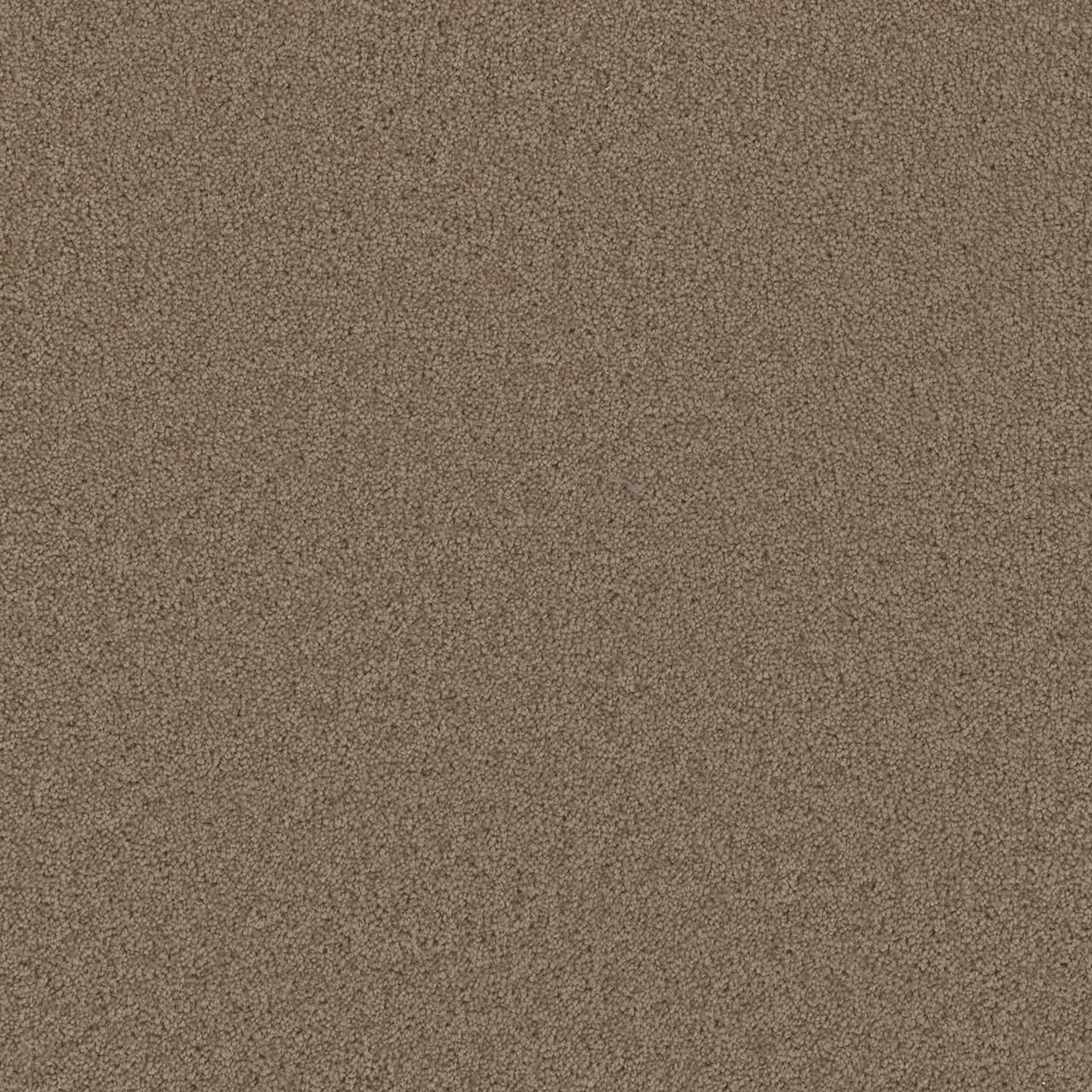 Broadcast Plus Doeskin