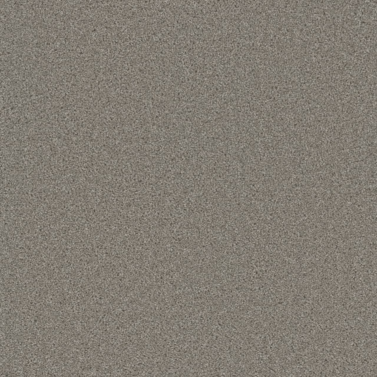 Broadcast Plus Silver Birch