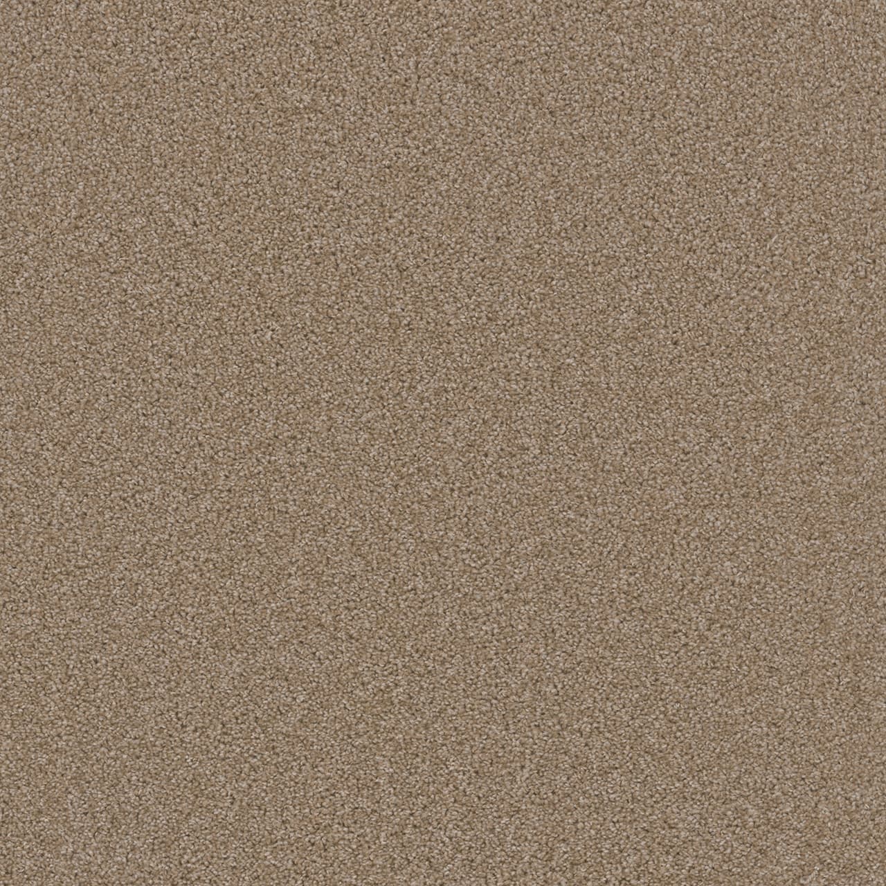 Broadcast Plus Sawgrass