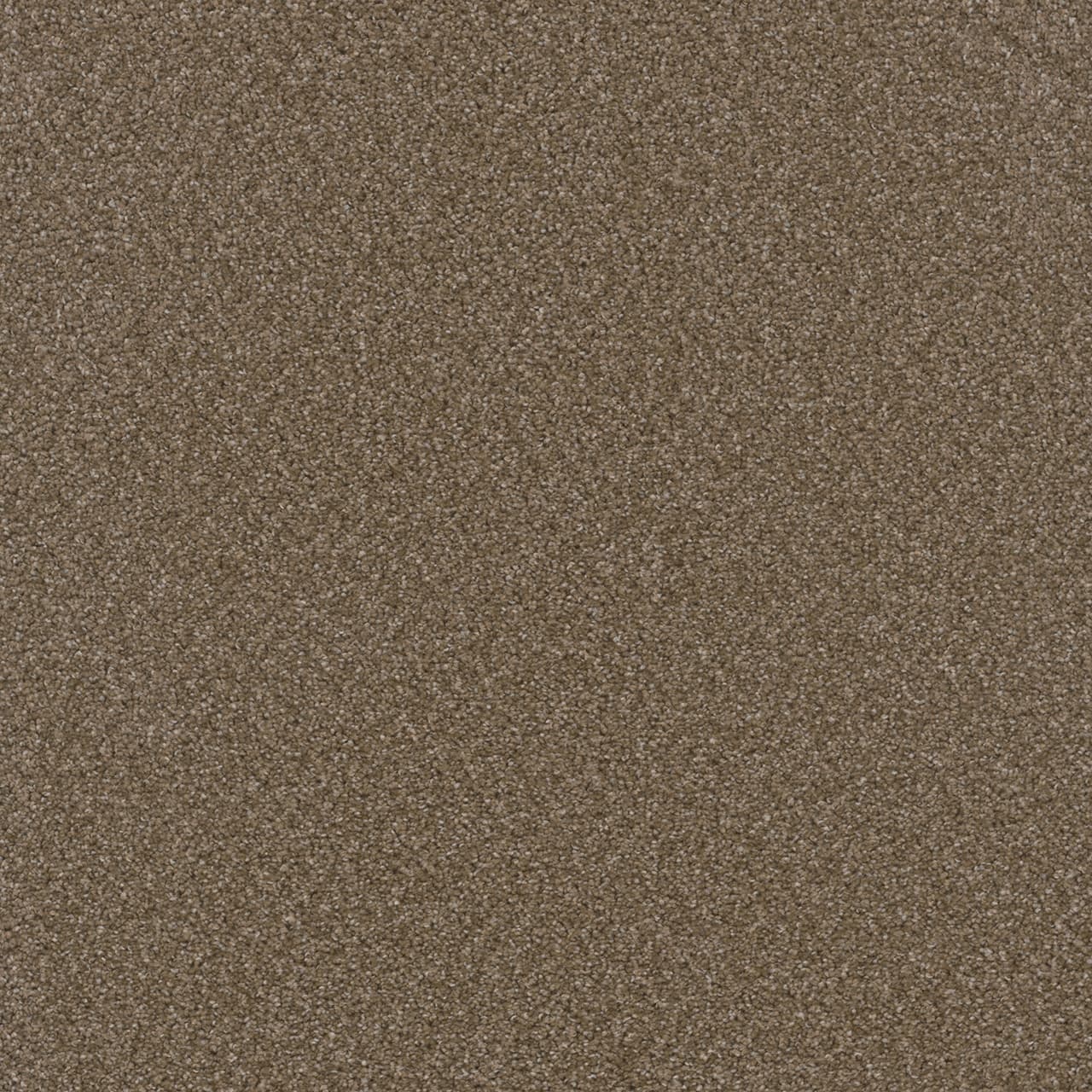 Broadcast Plus Chestnut