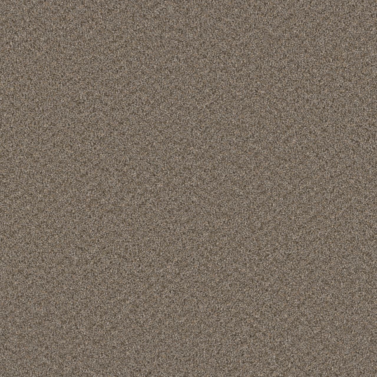 Broadcast Plus Cinder