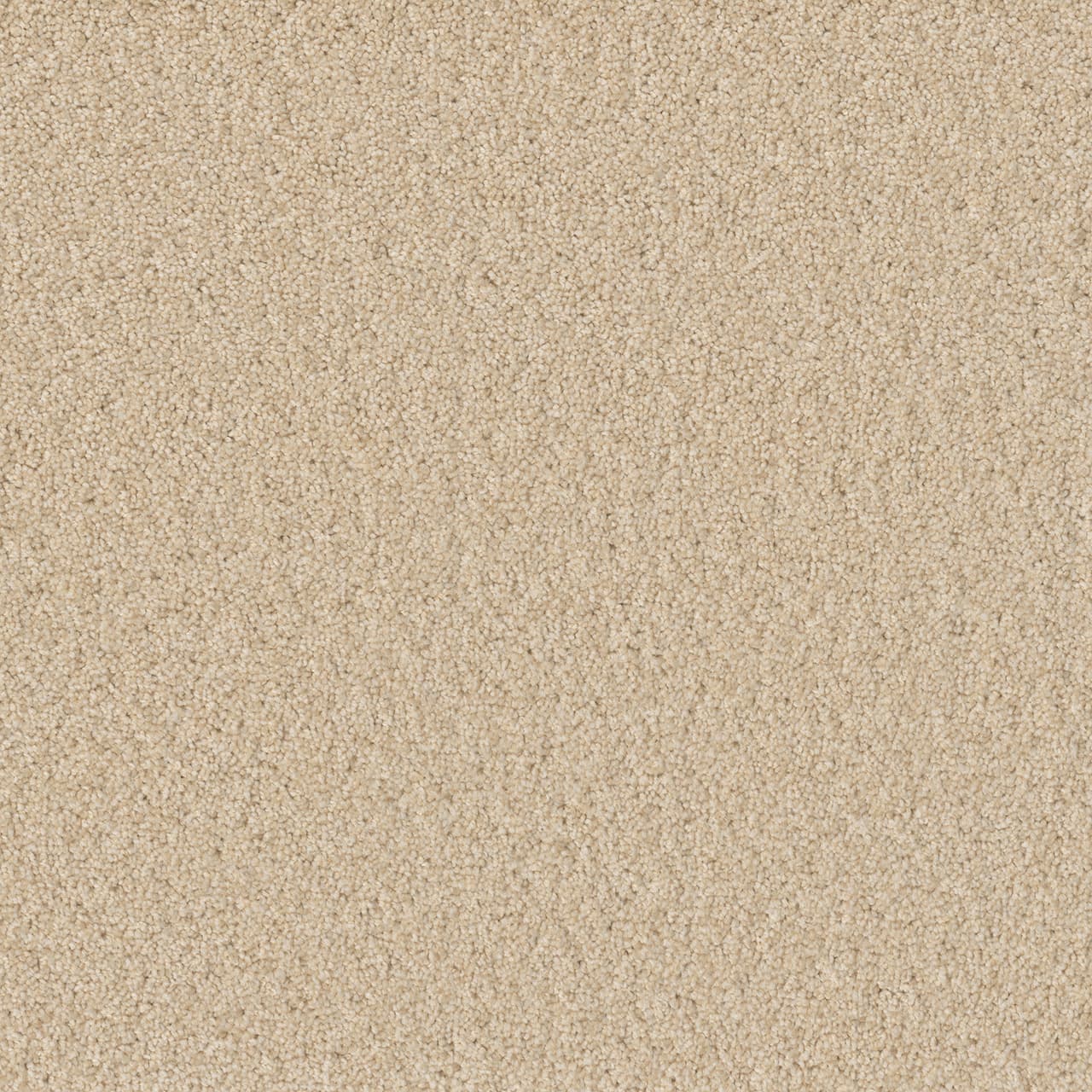 Broadcast Plus Classic Ivory