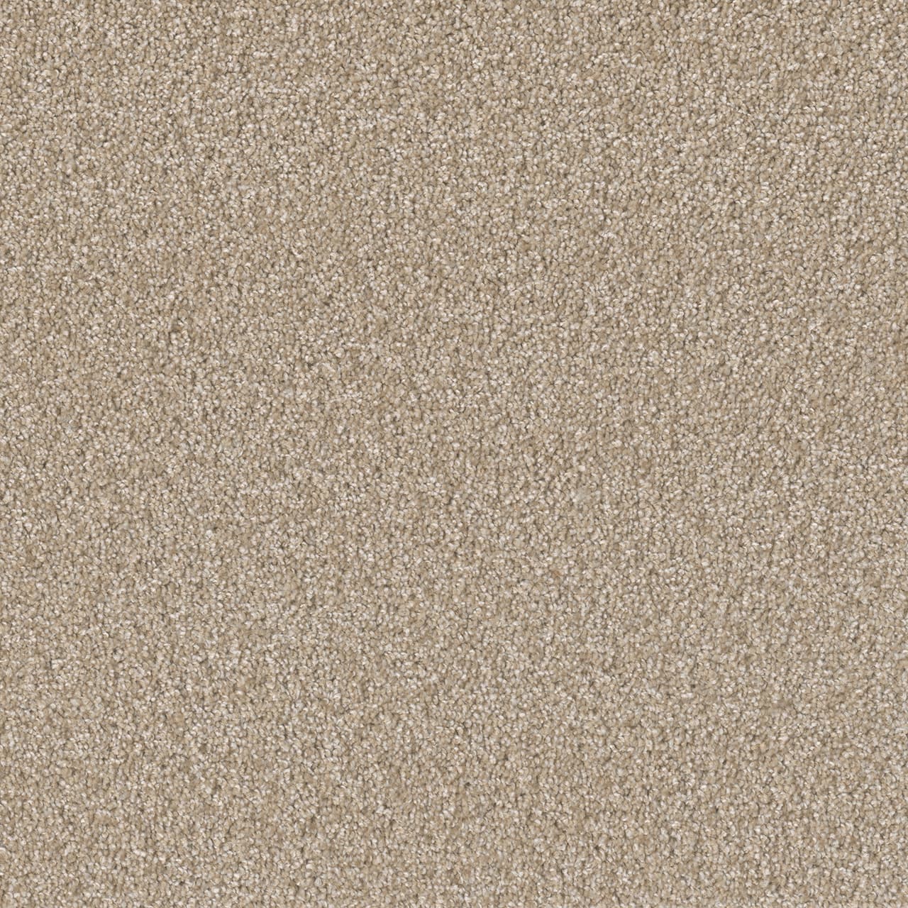 Broadcast Plus Cameo Broadcast Plus Carpet flooring