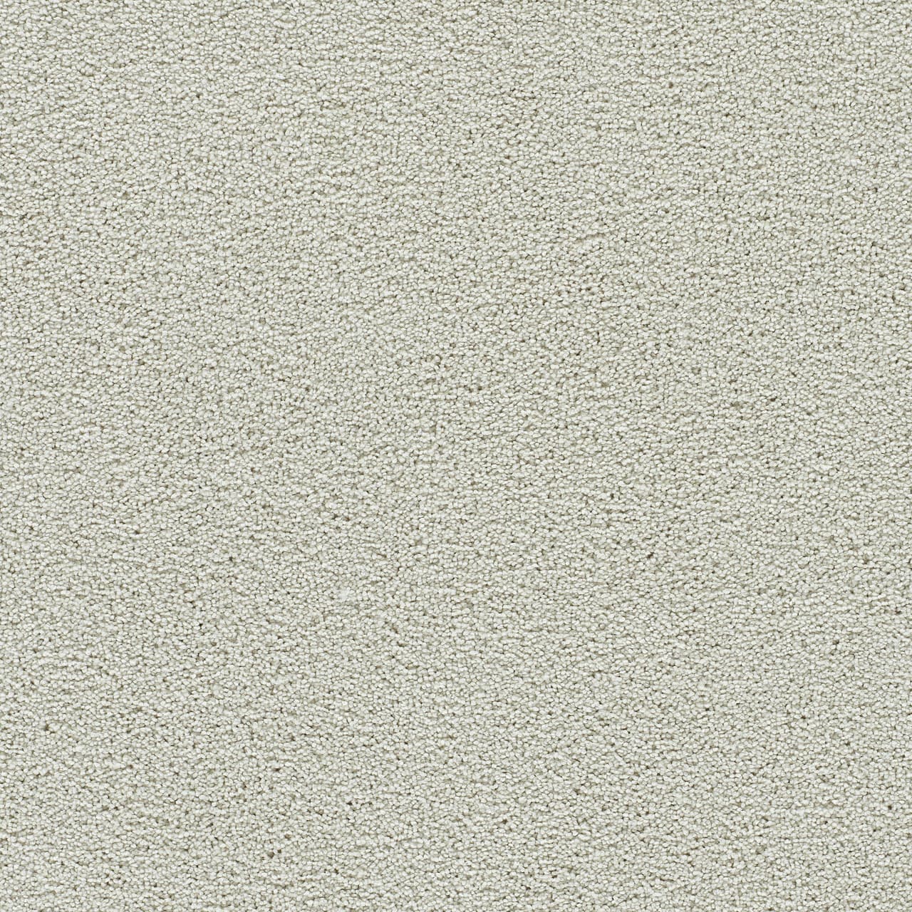 Clearwater II Snowball