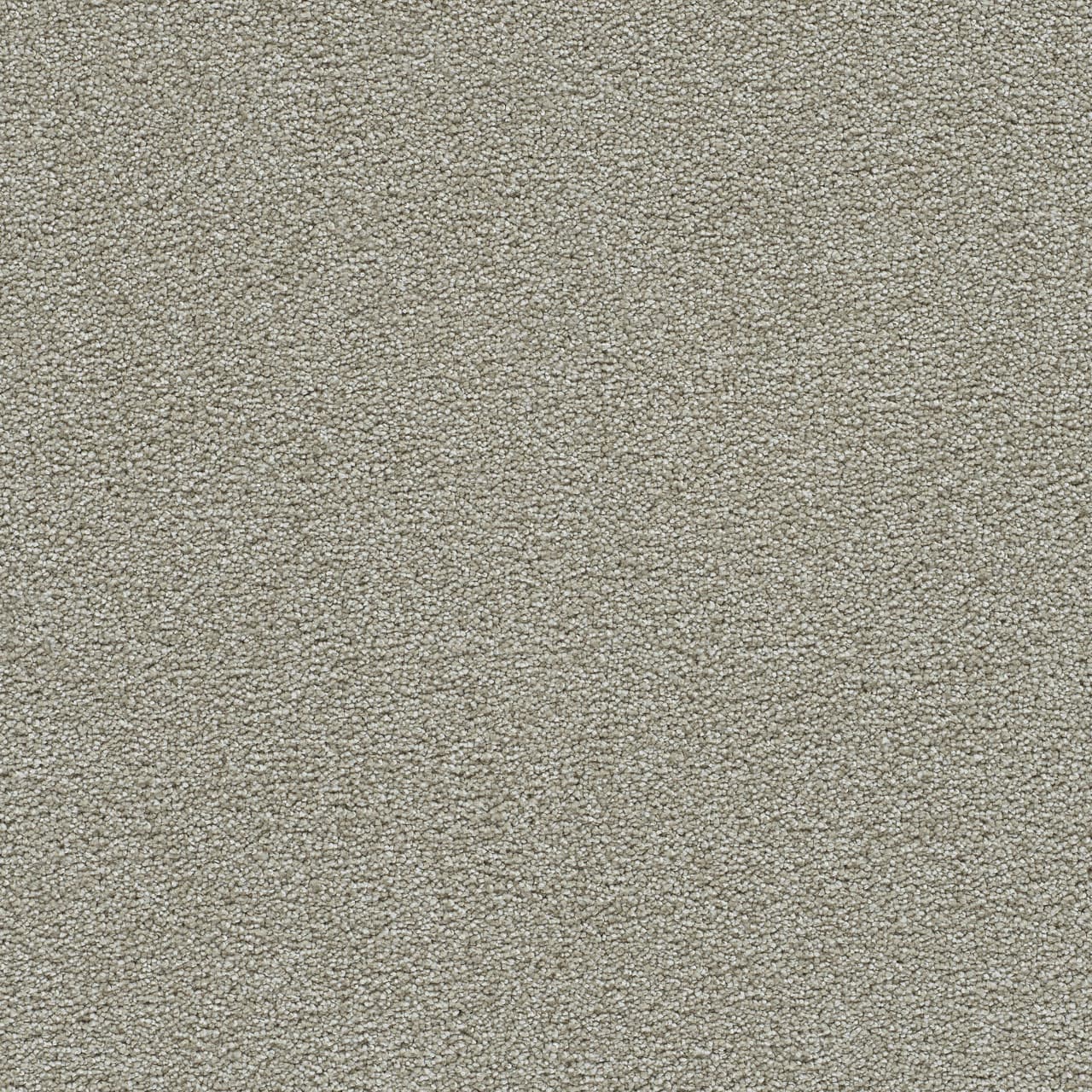 Clearwater I August Grove Clearwater I Carpet flooring