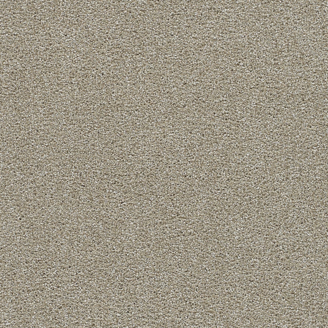 Clearwater II Wonder