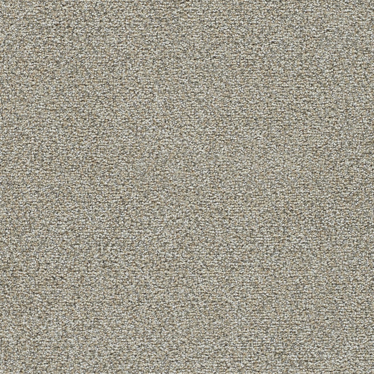 Clearwater II Kindling