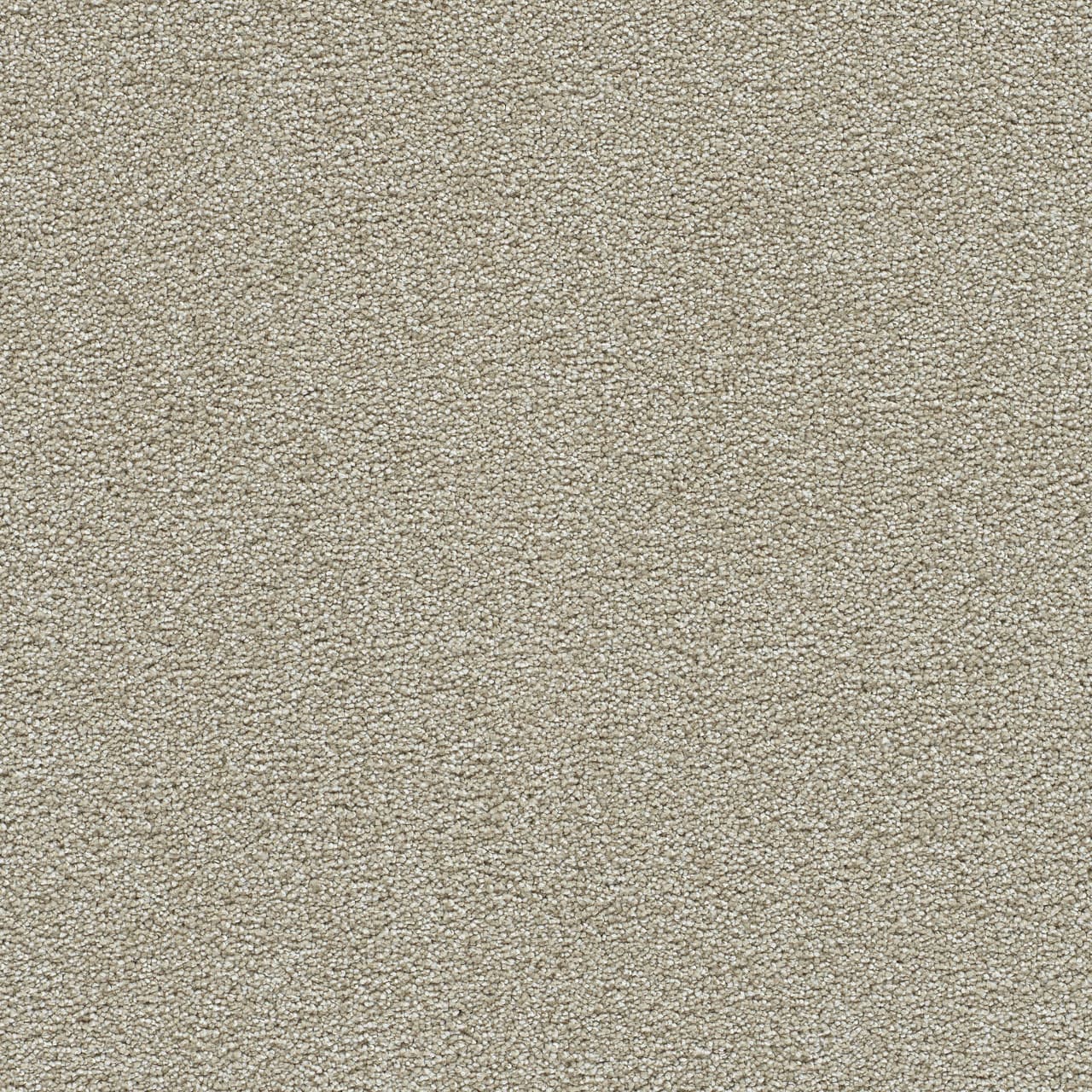 Clearwater II Wheat Grass