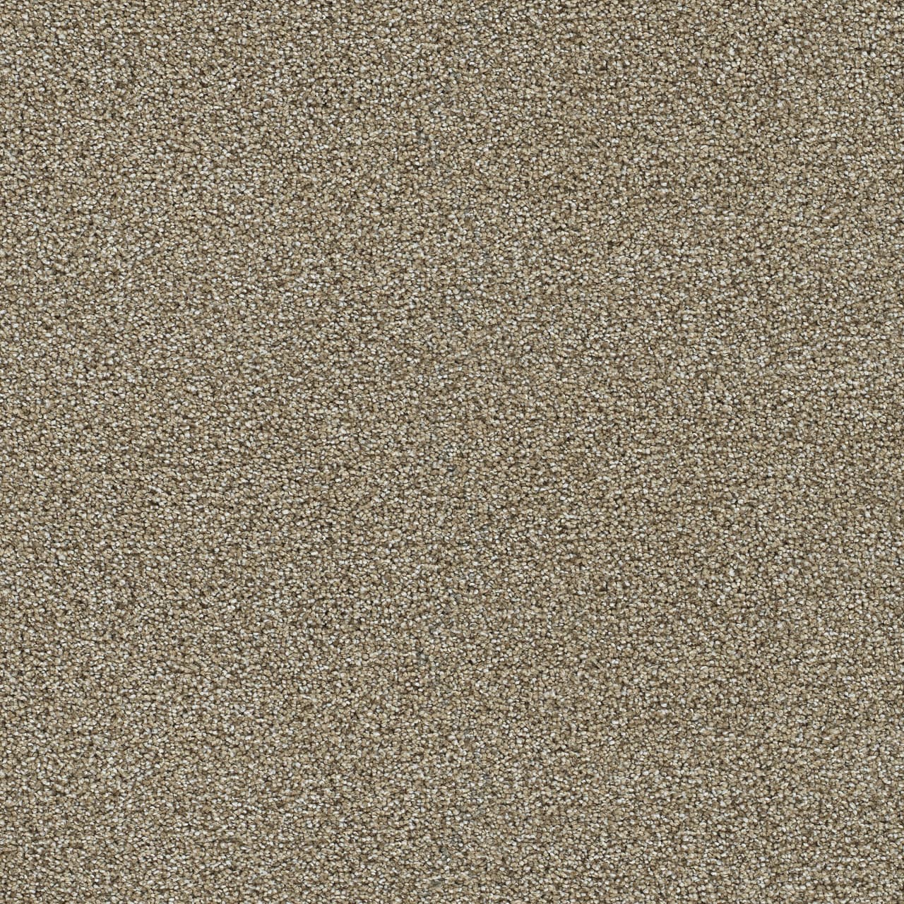 Clearwater II Toasted Oat