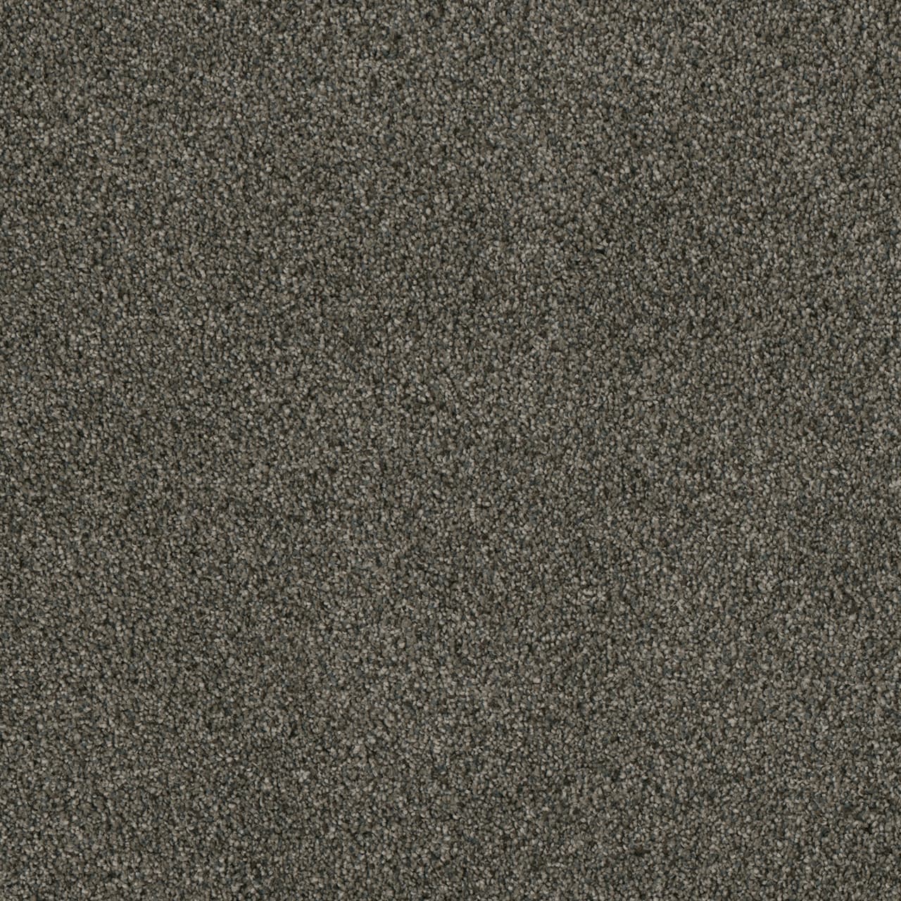 Midnight Shadow SP650 Carpet flooring