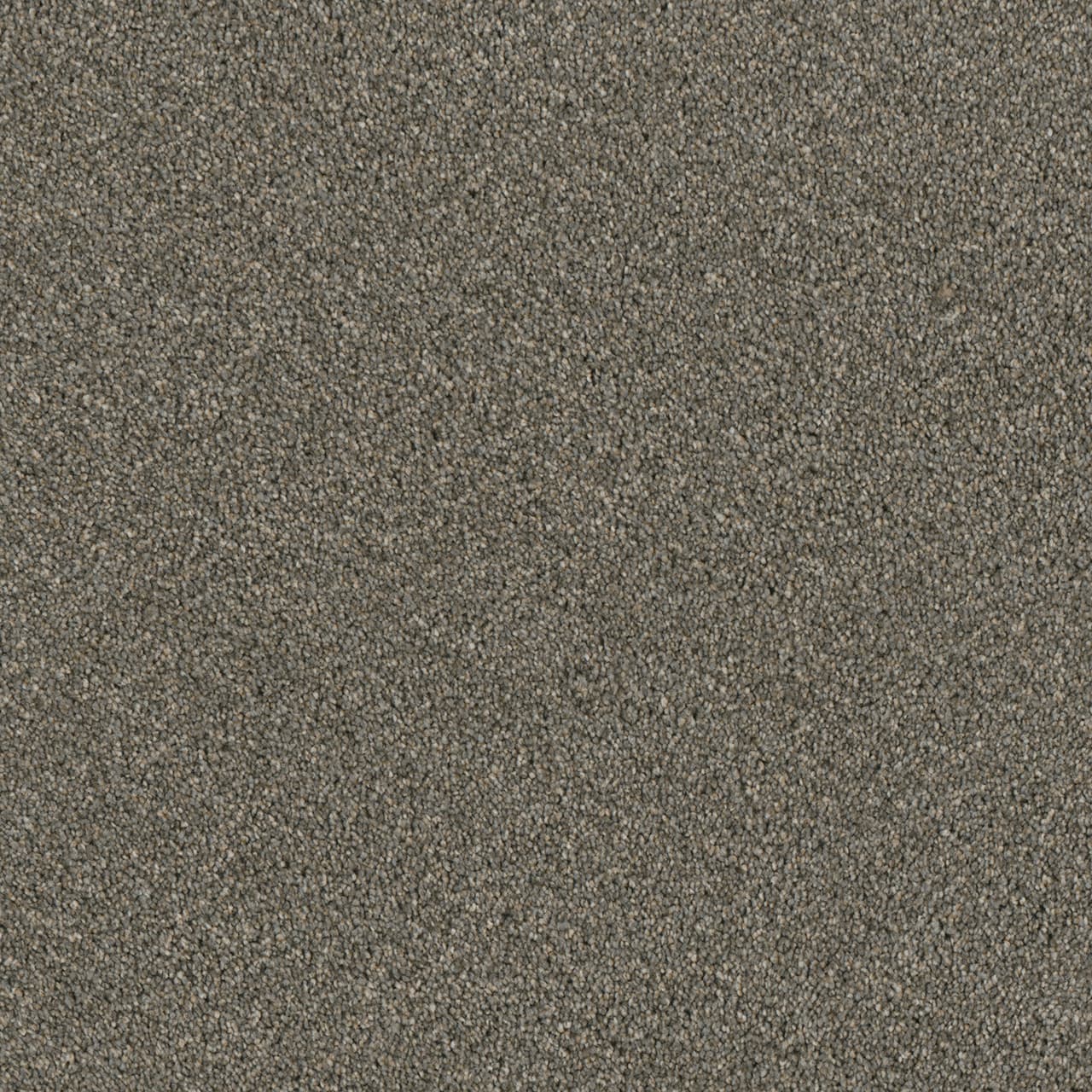 Smooth Sailing SP650 Carpet flooring
