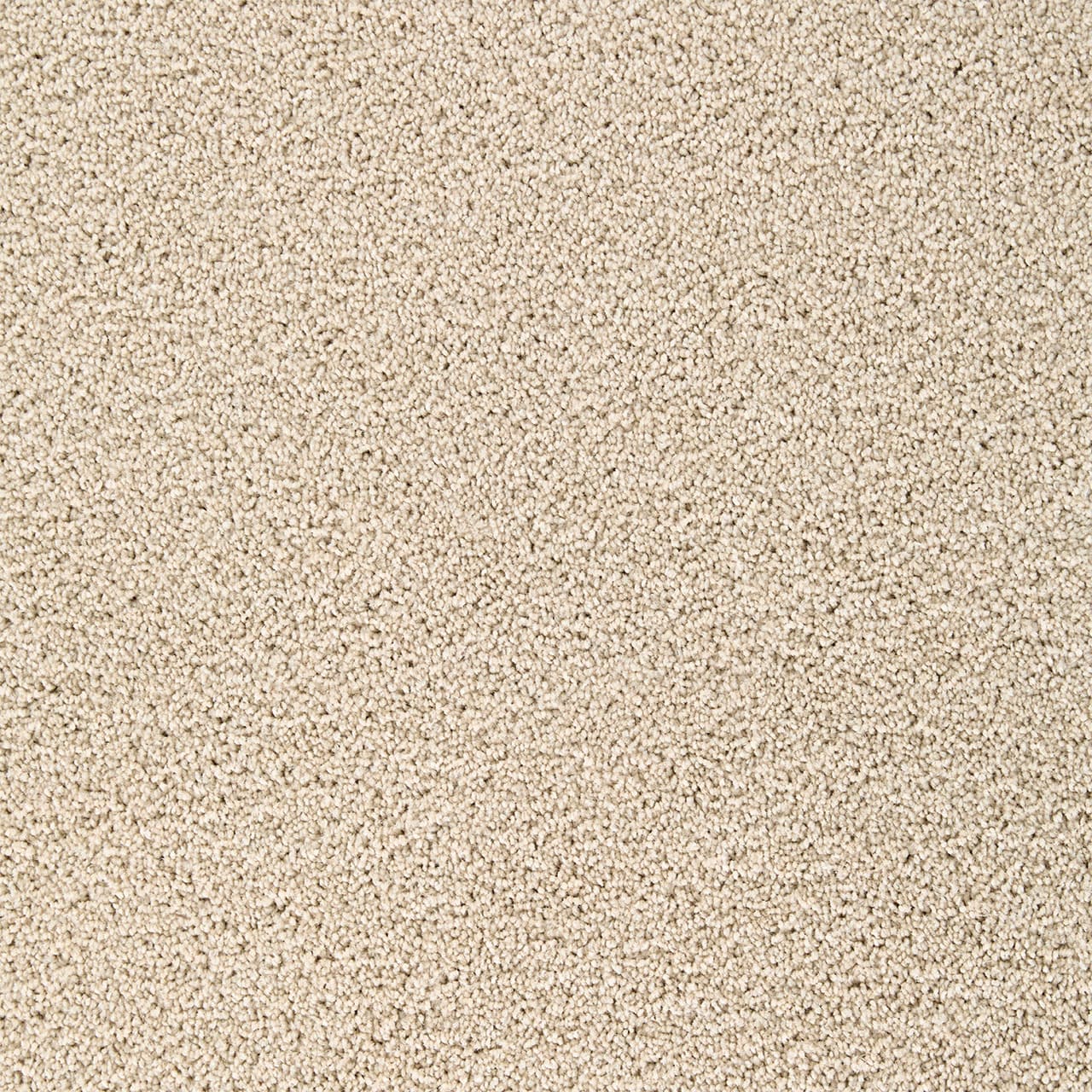 Broadcast Plus Cookie Dough