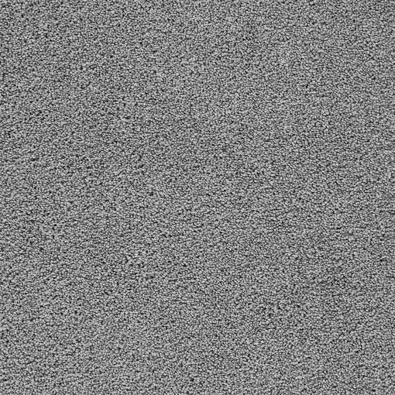 Broadcast Plus Bayside Broadcast Plus Carpet flooring