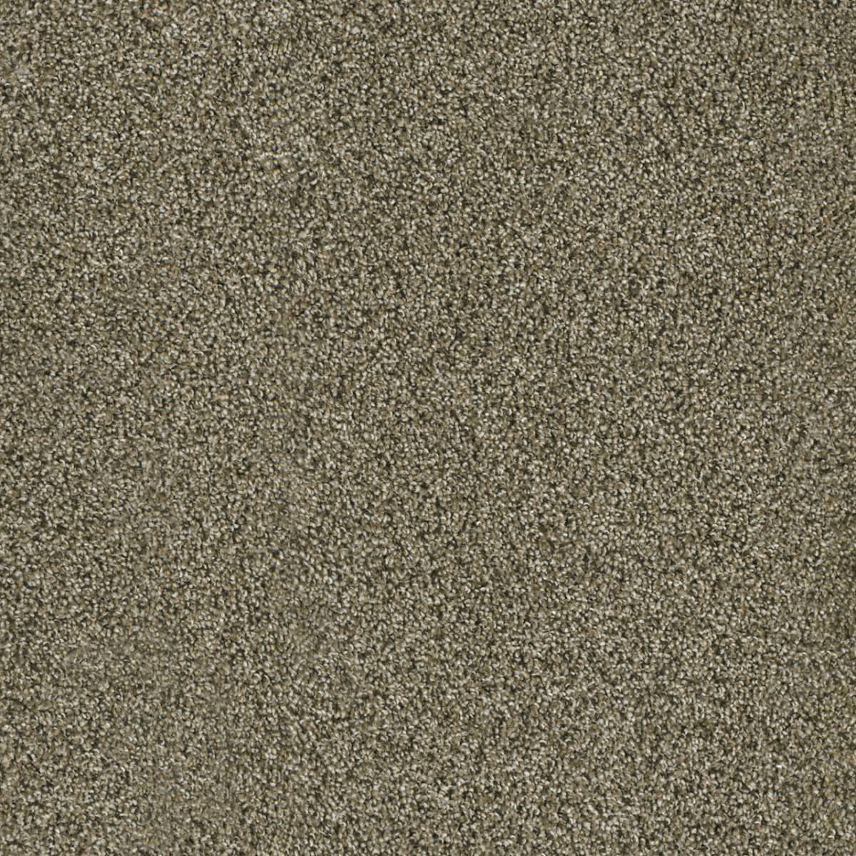 Acclaim Island Spice Acclaim Carpet flooring