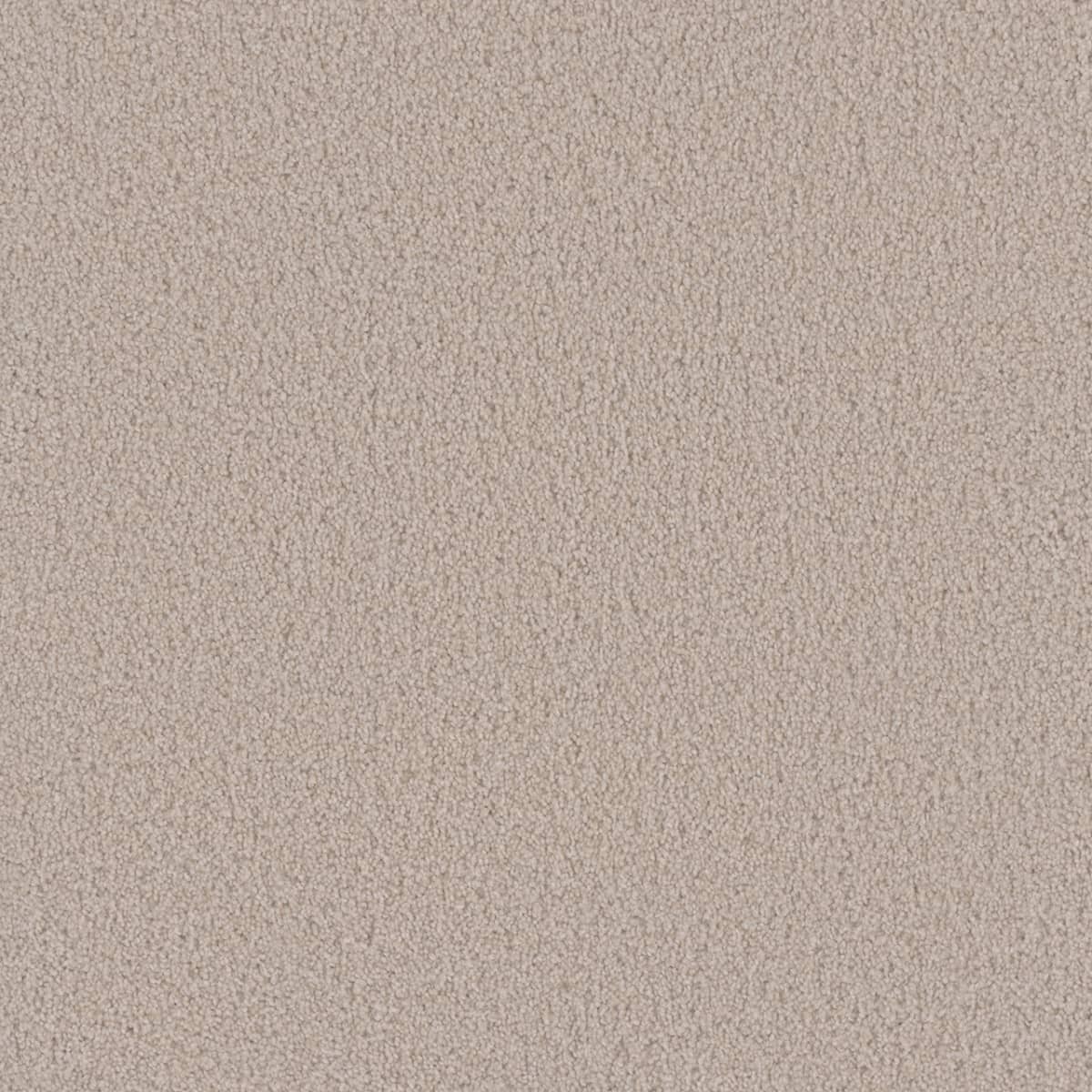 Beach Club I Champagne Fizz Beach Club I Carpet flooring