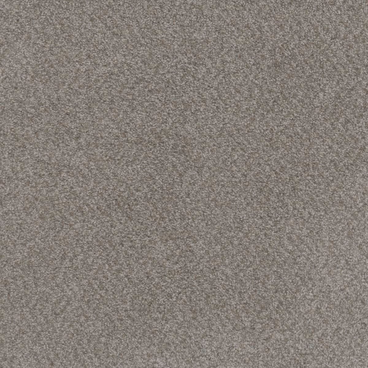 Beach Club I Spanish Moss