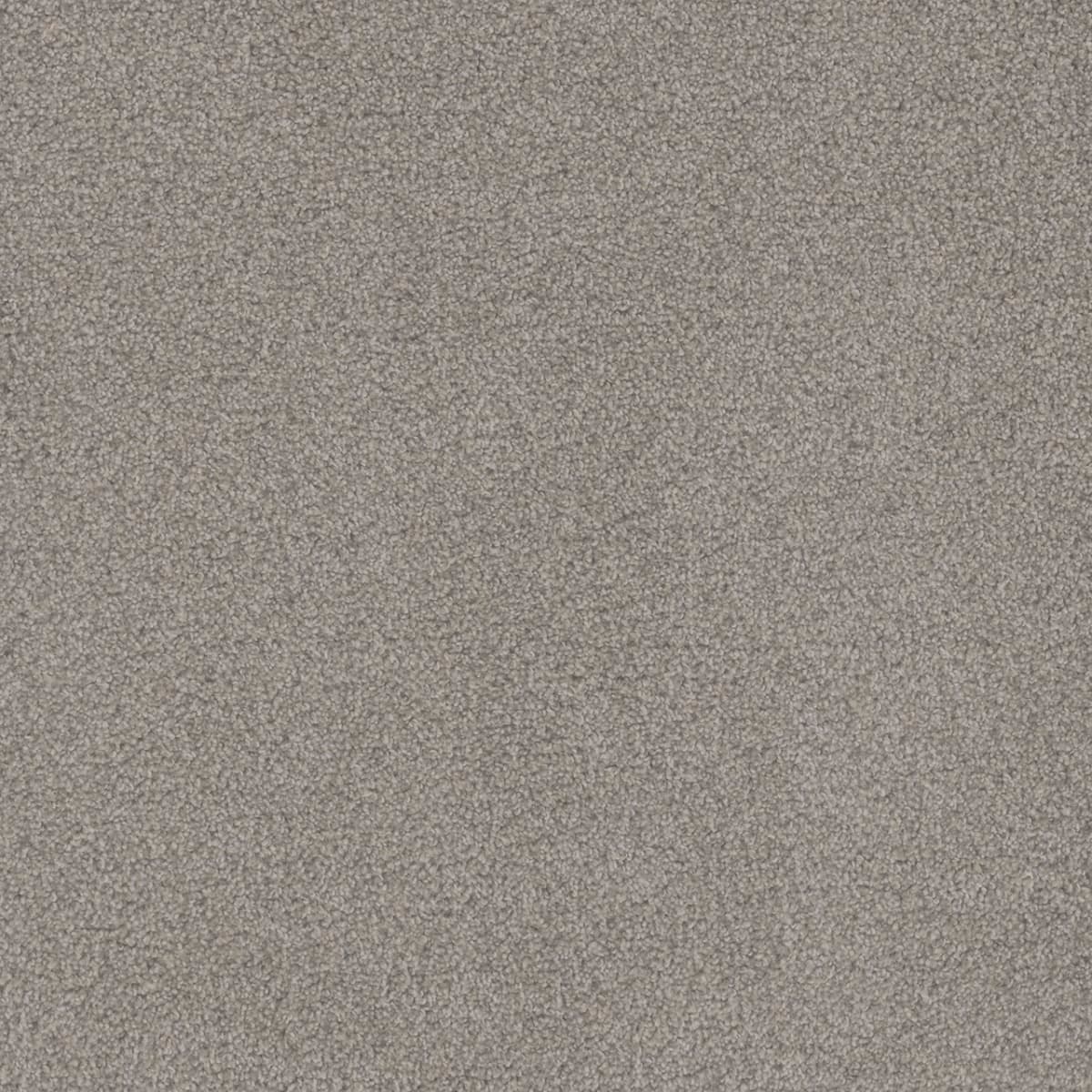 Beach Club I Garden Hedge