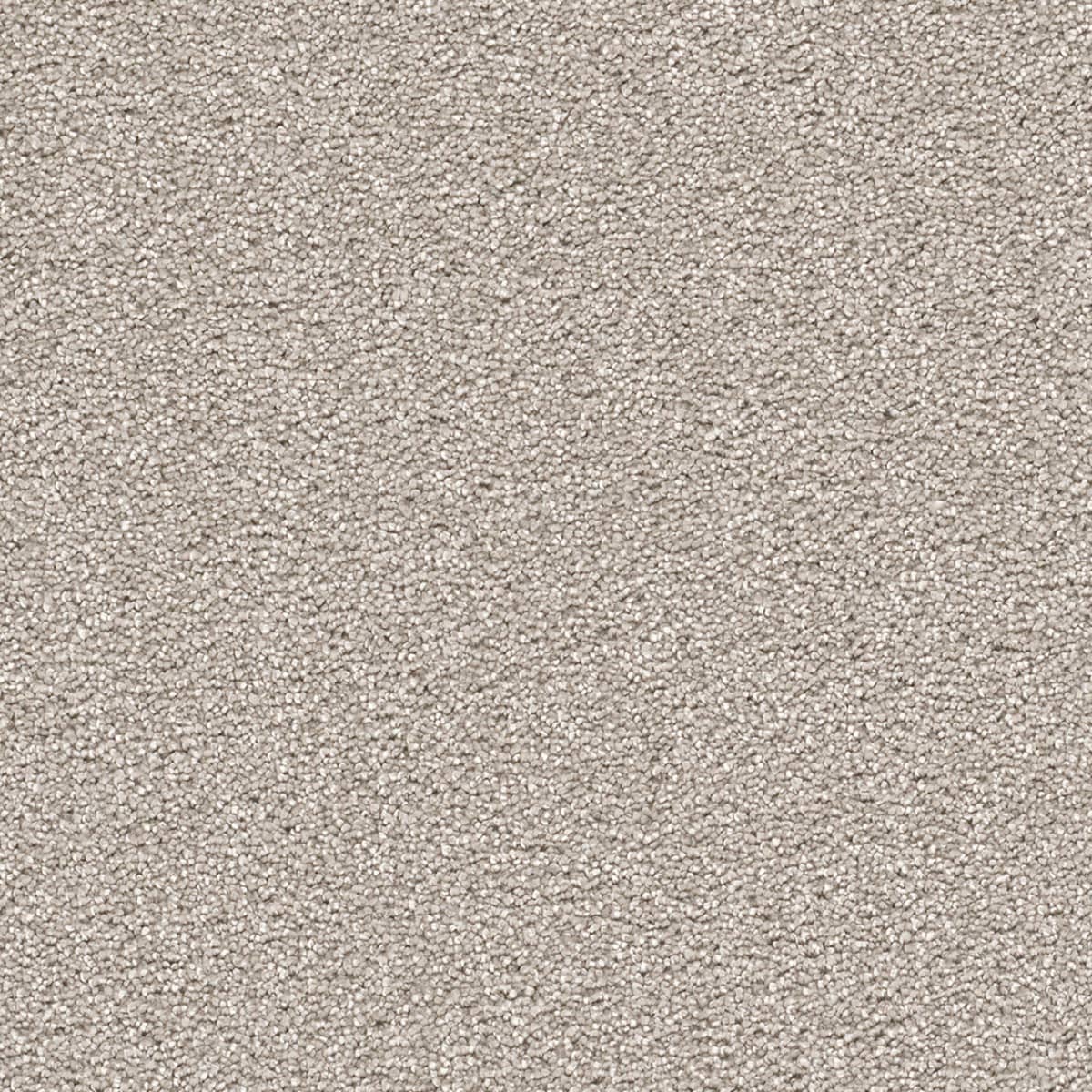 Cape Cod Silver Lining