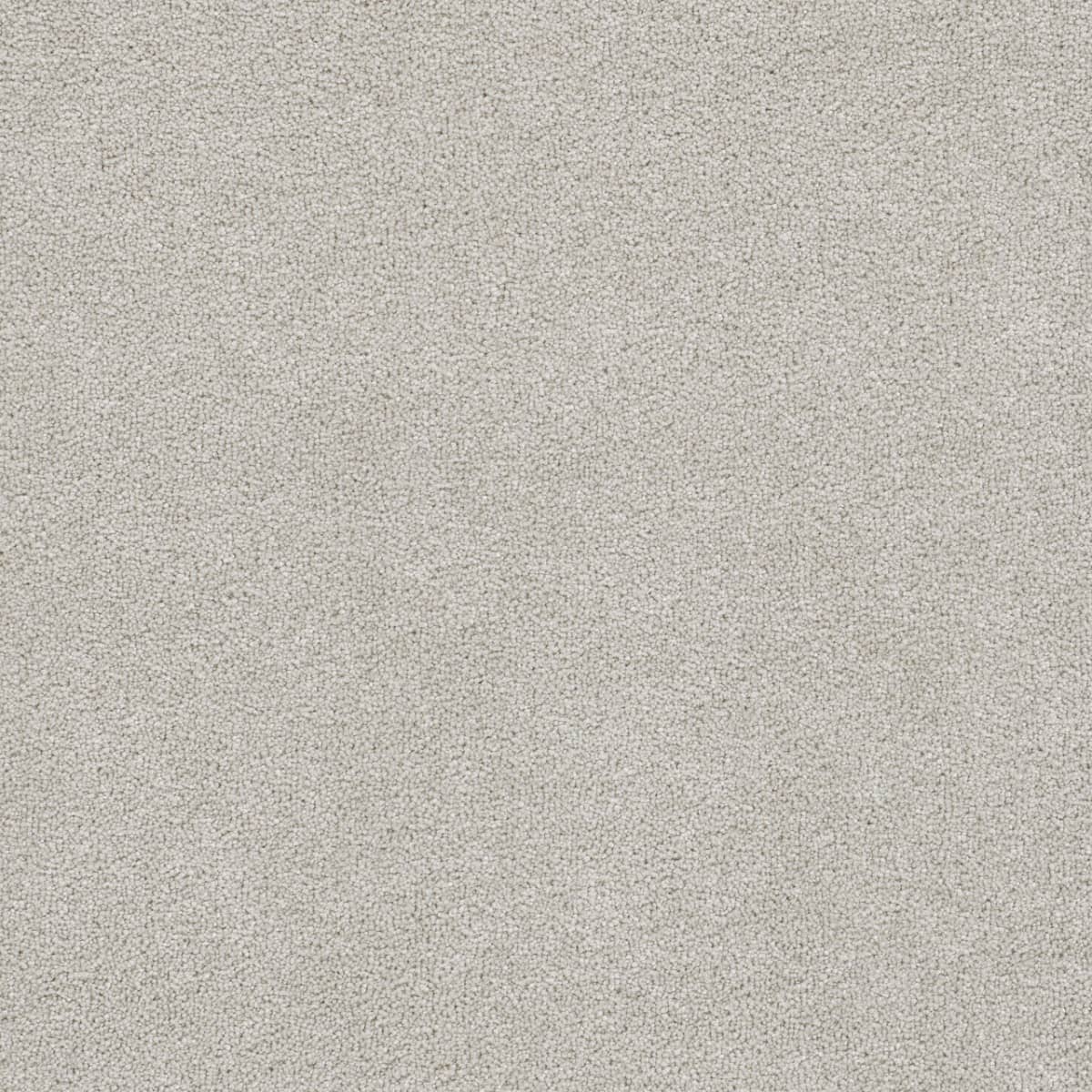 Cape Cod Andes Cape Cod Carpet flooring