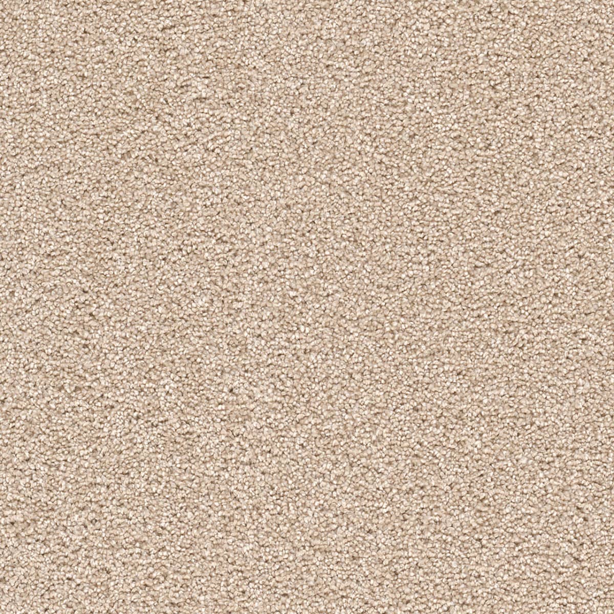 Cape Cod Blush Cape Cod Carpet flooring