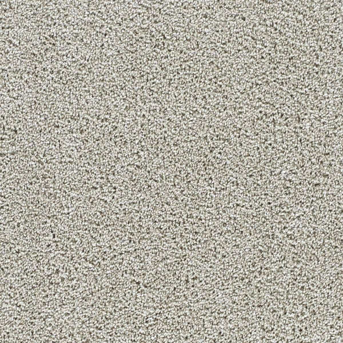 Captivating II August Grove Captivating II Carpet flooring