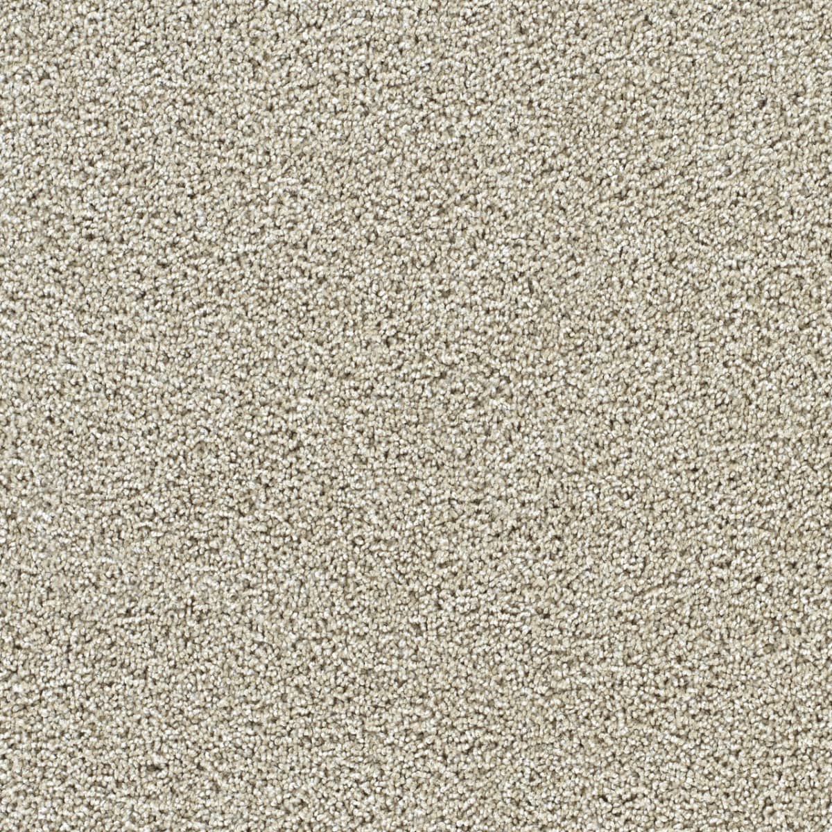 Captivating II Wheat Grass