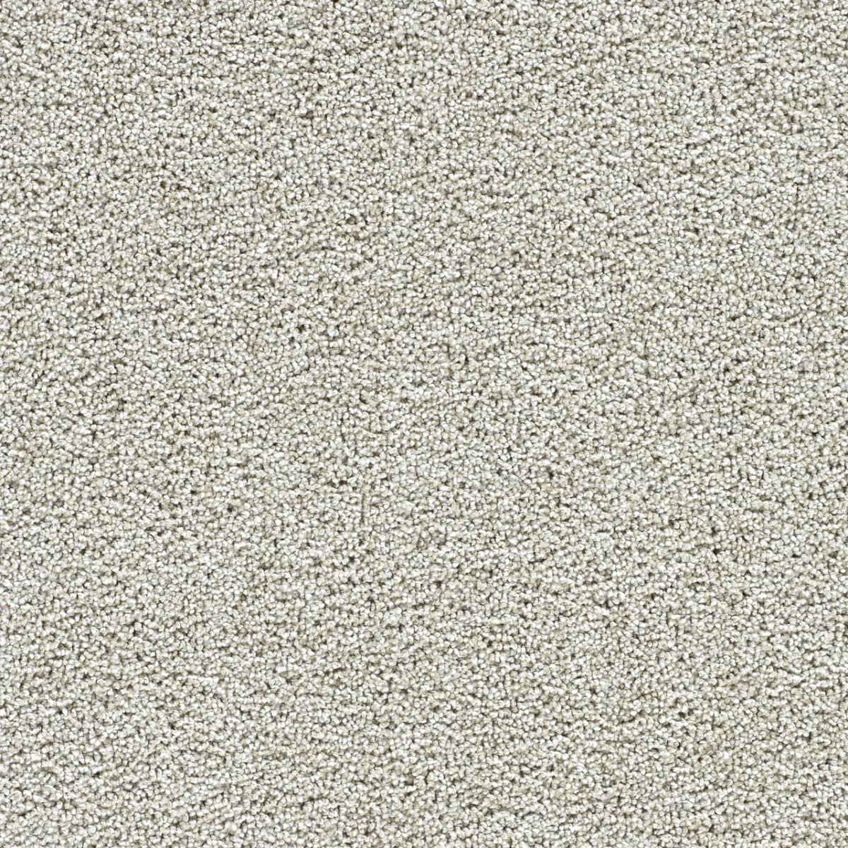 Captivating II Anaheim Captivating II Carpet flooring