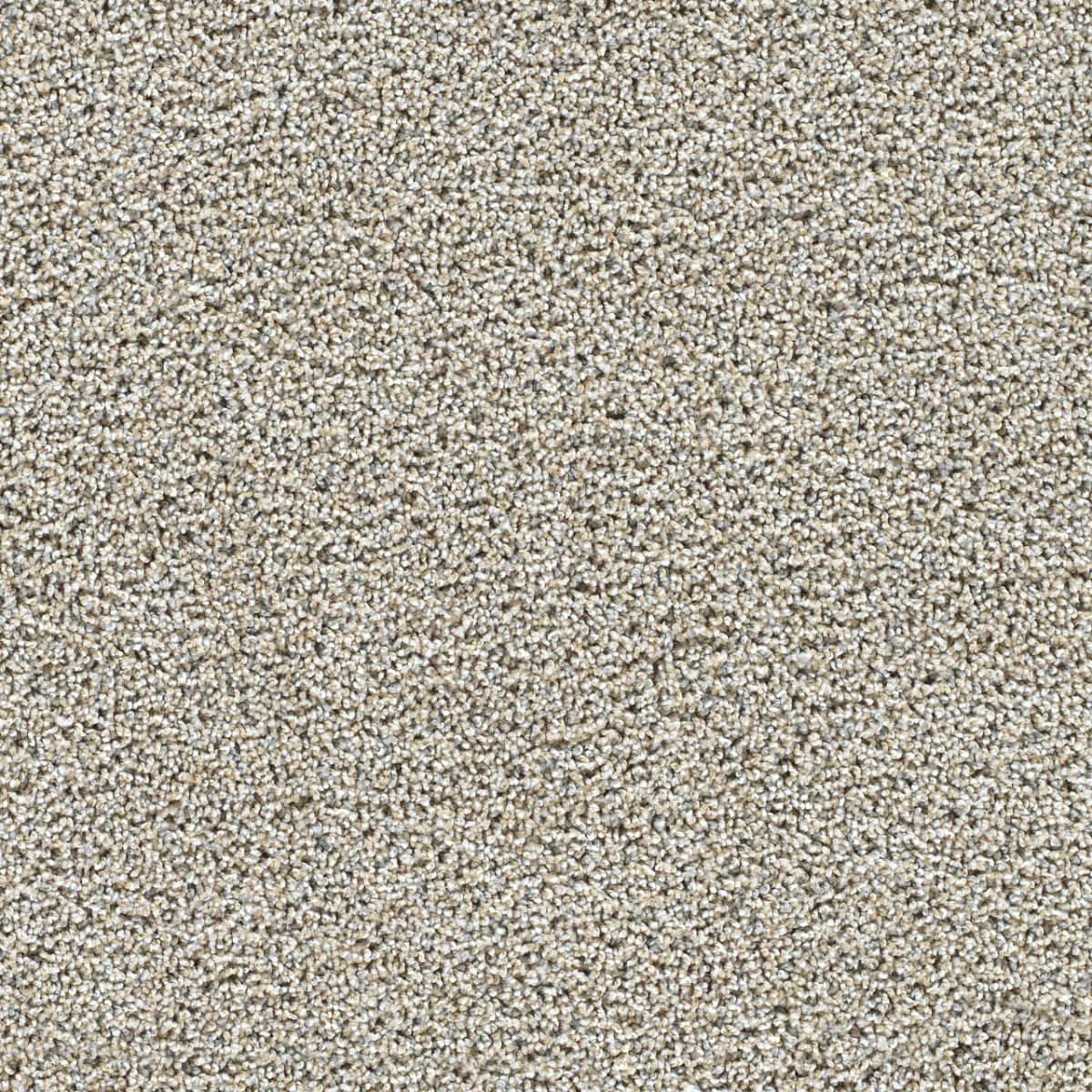 Captivating II Iron Gate