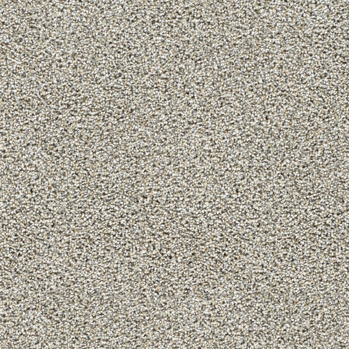 Captivating II Gingerbread