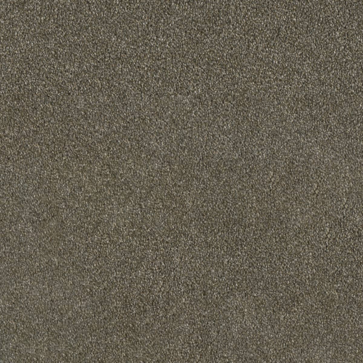 Cinnamon Tea SP650 Carpet flooring